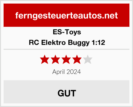 ES-Toys RC Elektro Buggy 1:12 Test