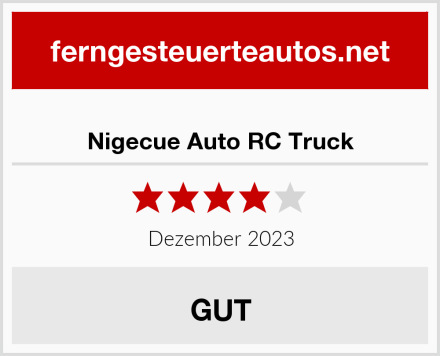  Nigecue Auto RC Truck Test