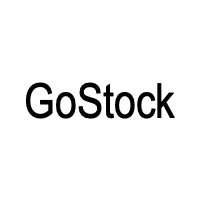 GoStock ferngesteuerte Autos
